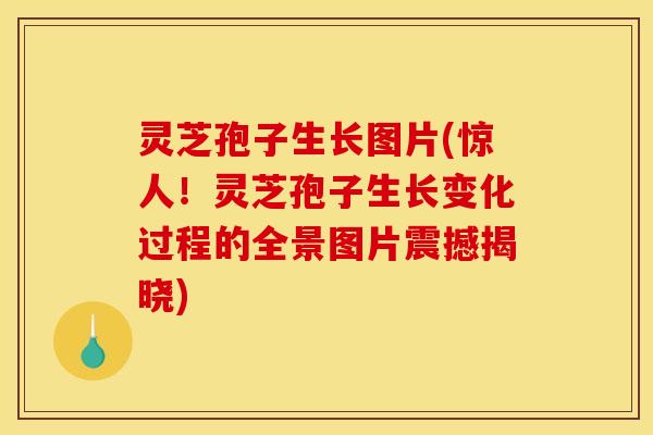 灵芝孢子生长图片(惊人！灵芝孢子生长变化过程的全景图片震撼揭晓)