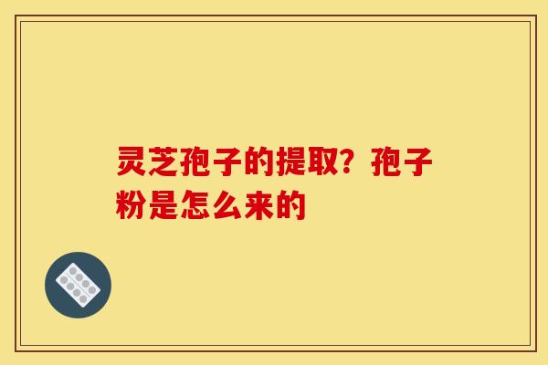 灵芝孢子的提取？孢子粉是怎么来的