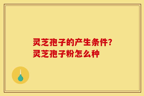 灵芝孢子的产生条件？灵芝孢子粉怎么种