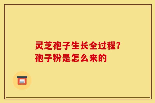 灵芝孢子生长全过程？孢子粉是怎么来的