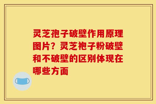 灵芝孢子破壁作用原理图片？灵芝袍子粉破壁和不破壁的区别体现在哪些方面