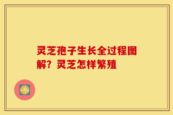 灵芝孢子生长全过程图解？灵芝怎样繁殖
