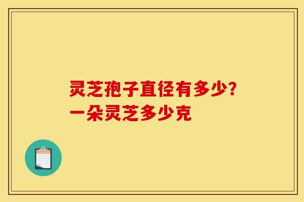 灵芝孢子直径有多少？一朵灵芝多少克