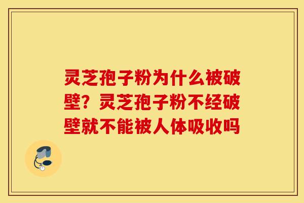 灵芝孢子粉为什么被破壁？灵芝孢子粉不经破壁就不能被人体吸收吗