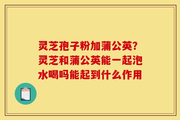 灵芝孢子粉加蒲公英？灵芝和蒲公英能一起泡水喝吗能起到什么作用