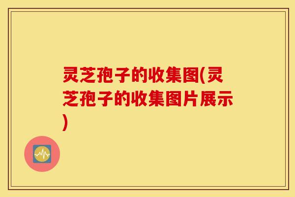 灵芝孢子的收集图(灵芝孢子的收集图片展示)