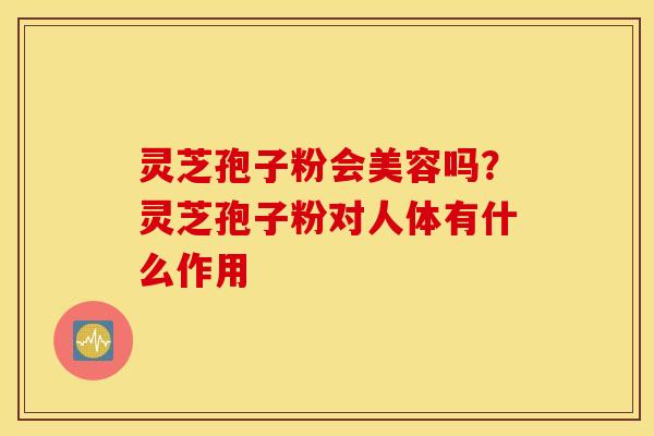 灵芝孢子粉会美容吗？灵芝孢子粉对人体有什么作用