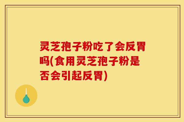 灵芝孢子粉吃了会反胃吗(食用灵芝孢子粉是否会引起反胃)