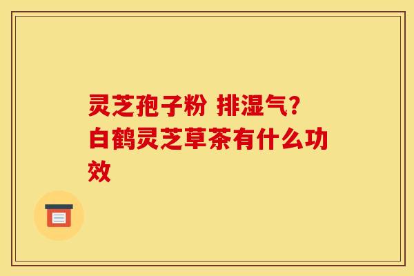 灵芝孢子粉 排湿气？白鹤灵芝草茶有什么功效