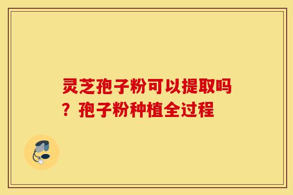 灵芝孢子粉可以提取吗？孢子粉种植全过程