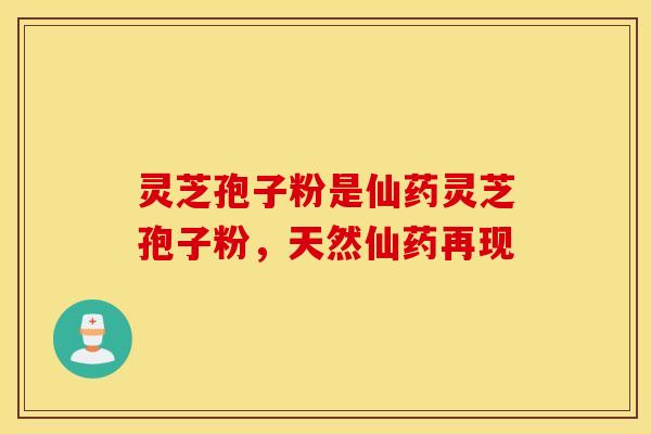 灵芝孢子粉是仙药灵芝孢子粉，天然仙药再现