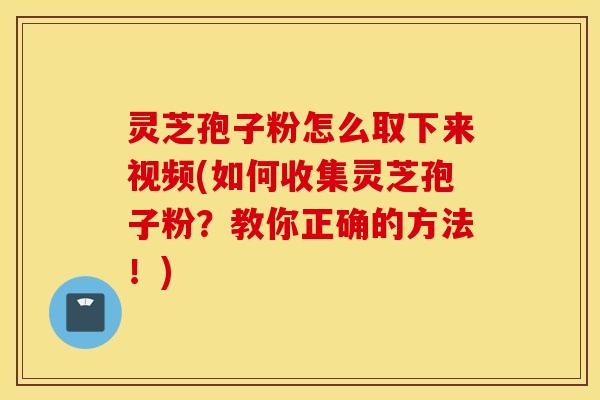 灵芝孢子粉怎么取下来视频(如何收集灵芝孢子粉？教你正确的方法！)