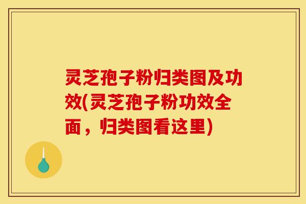 灵芝孢子粉归类图及功效(灵芝孢子粉功效全面，归类图看这里)