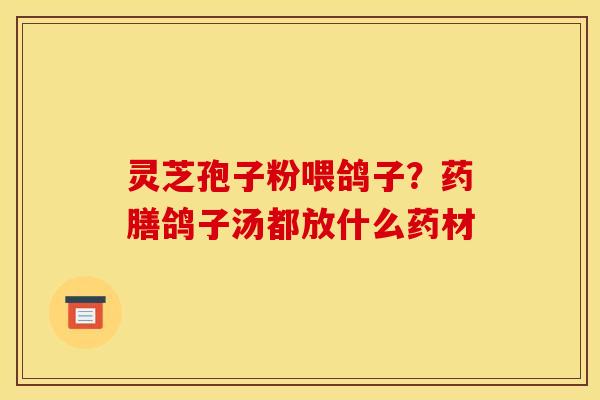 灵芝孢子粉喂鸽子？药膳鸽子汤都放什么药材