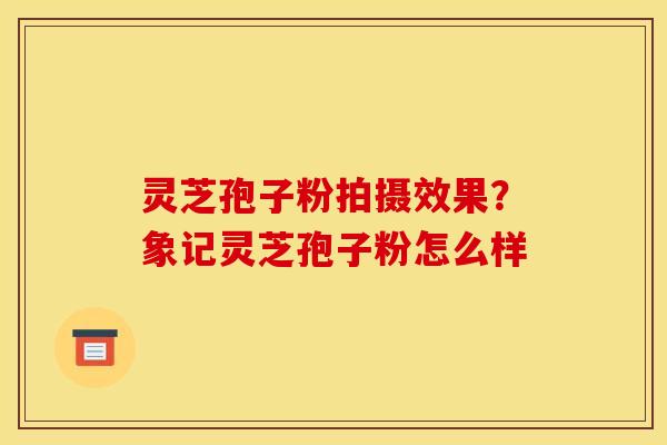 灵芝孢子粉拍摄效果？象记灵芝孢子粉怎么样