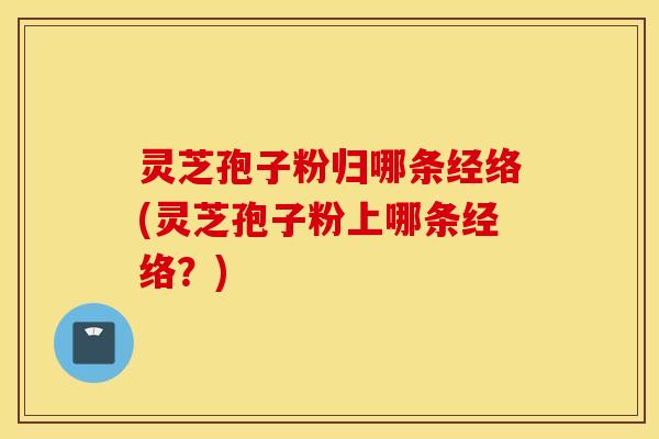 灵芝孢子粉归哪条经络(灵芝孢子粉上哪条经络？)