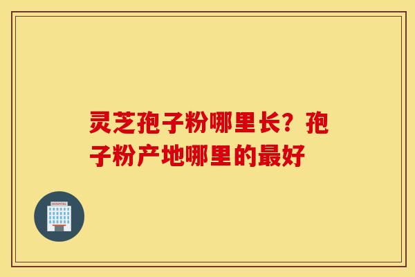 灵芝孢子粉哪里长？孢子粉产地哪里的最好