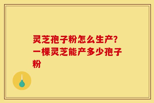 灵芝孢子粉怎么生产？一棵灵芝能产多少孢子粉