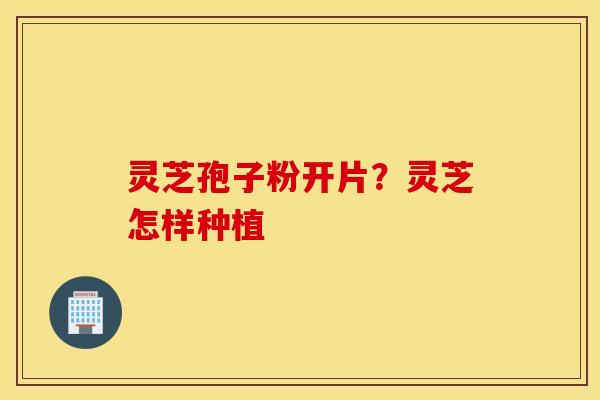 灵芝孢子粉开片？灵芝怎样种植