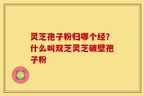 灵芝孢子粉归哪个经？什么叫双芝灵芝破壁孢子粉