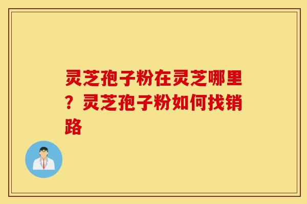 灵芝孢子粉在灵芝哪里？灵芝孢子粉如何找销路