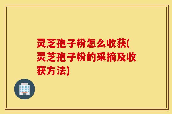 灵芝孢子粉怎么收获(灵芝孢子粉的采摘及收获方法)