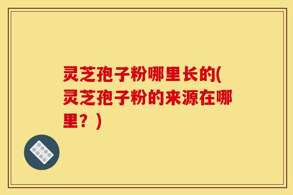 灵芝孢子粉哪里长的(灵芝孢子粉的来源在哪里？)