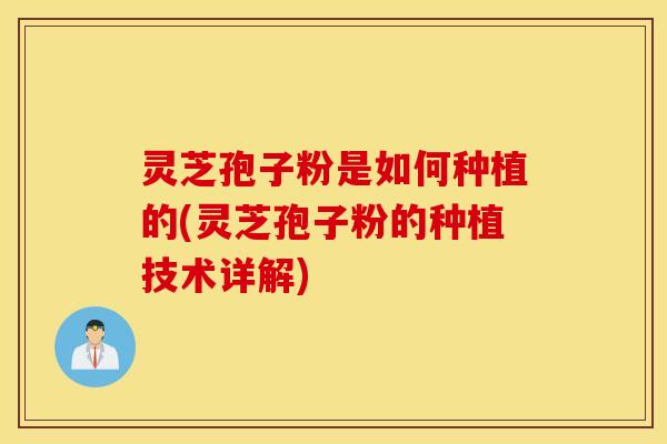 灵芝孢子粉是如何种植的(灵芝孢子粉的种植技术详解)