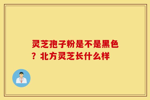 灵芝孢子粉是不是黑色？北方灵芝长什么样