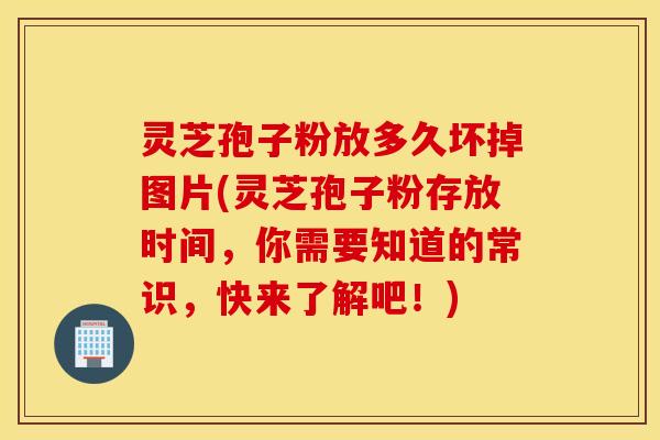 灵芝孢子粉放多久坏掉图片(灵芝孢子粉存放时间，你需要知道的常识，快来了解吧！)