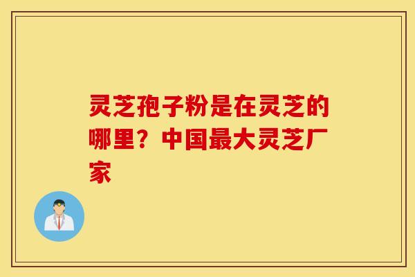 灵芝孢子粉是在灵芝的哪里？中国最大灵芝厂家