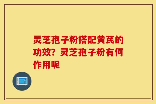 灵芝孢子粉搭配黄芪的功效？灵芝孢子粉有何作用呢