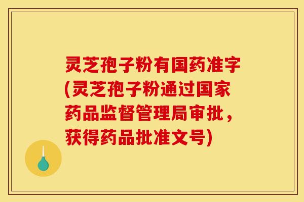 灵芝孢子粉有国药准字(灵芝孢子粉通过国家药品监督管理局审批，获得药品批准文号)
