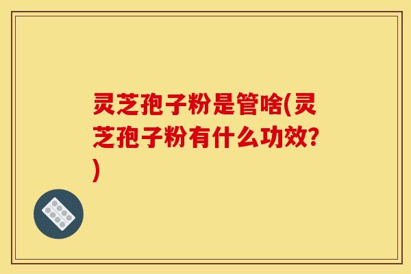 灵芝孢子粉是管啥(灵芝孢子粉有什么功效？)