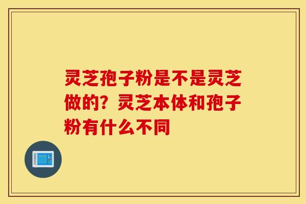 灵芝孢子粉是不是灵芝做的？灵芝本体和孢子粉有什么不同