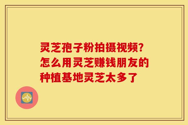 灵芝孢子粉拍摄视频？怎么用灵芝赚钱朋友的种植基地灵芝太多了