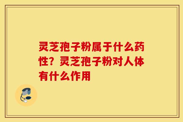 灵芝孢子粉属于什么药性？灵芝孢子粉对人体有什么作用