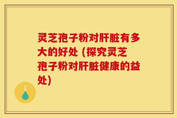 灵芝孢子粉对肝脏有多大的好处 (探究灵芝孢子粉对肝脏健康的益处)