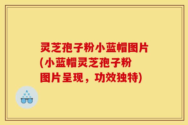 灵芝孢子粉小蓝帽图片(小蓝帽灵芝孢子粉 图片呈现，功效独特)