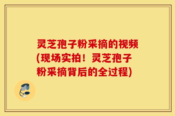 灵芝孢子粉采摘的视频(现场实拍！灵芝孢子粉采摘背后的全过程)
