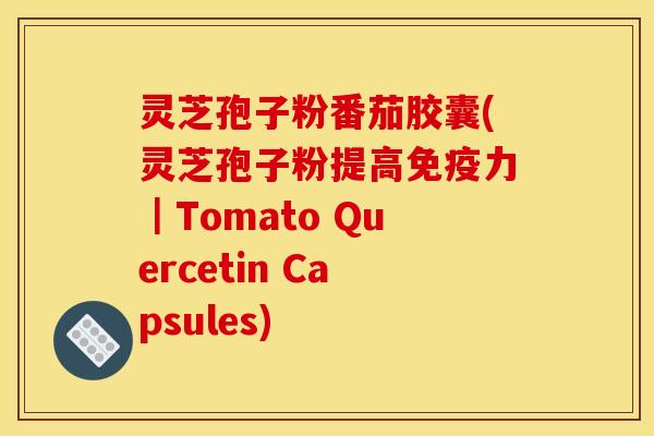 灵芝孢子粉番茄胶囊(灵芝孢子粉提高免疫力｜Tomato Quercetin Capsules)
