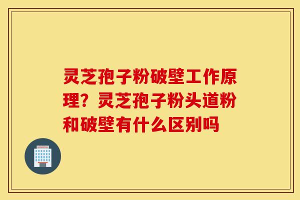灵芝孢子粉破壁工作原理？灵芝孢子粉头道粉和破壁有什么区别吗