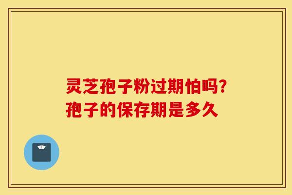 灵芝孢子粉过期怕吗？孢子的保存期是多久