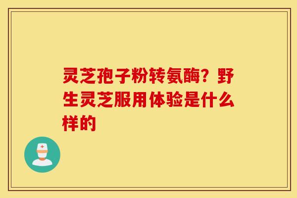 灵芝孢子粉转氨酶？野生灵芝服用体验是什么样的
