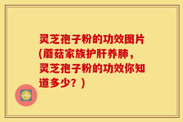灵芝孢子粉的功效图片(蘑菇家族护肝养肺，灵芝孢子粉的功效你知道多少？)