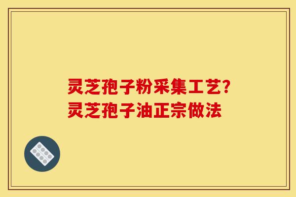 灵芝孢子粉采集工艺？灵芝孢子油正宗做法