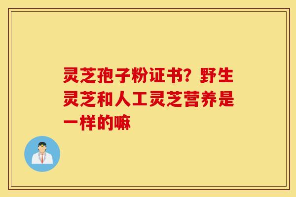 灵芝孢子粉证书？野生灵芝和人工灵芝营养是一样的嘛