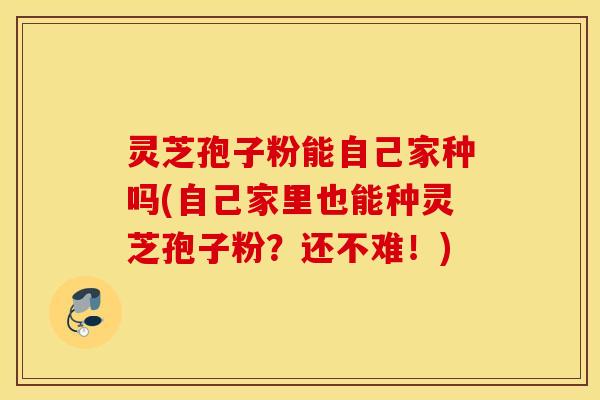 灵芝孢子粉能自己家种吗(自己家里也能种灵芝孢子粉？还不难！)