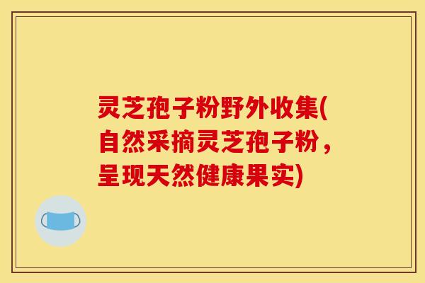灵芝孢子粉野外收集(自然采摘灵芝孢子粉，呈现天然健康果实)