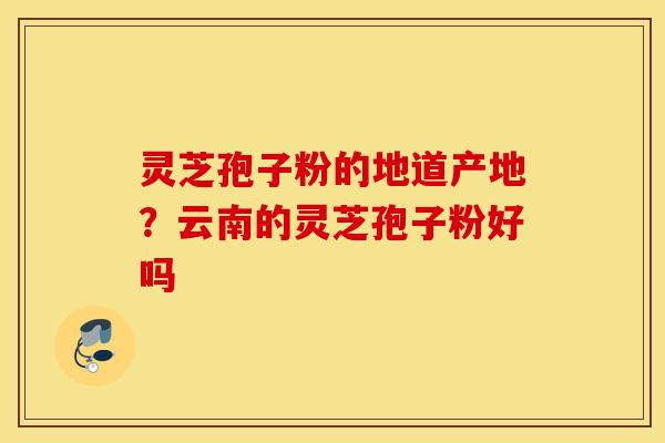 灵芝孢子粉的地道产地？云南的灵芝孢子粉好吗